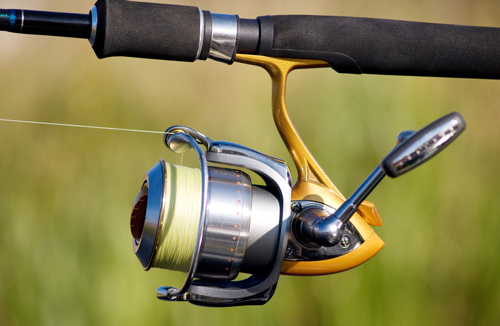 Choosing Saltwater Fishing Gear: Spinning or Baitcasting Reels